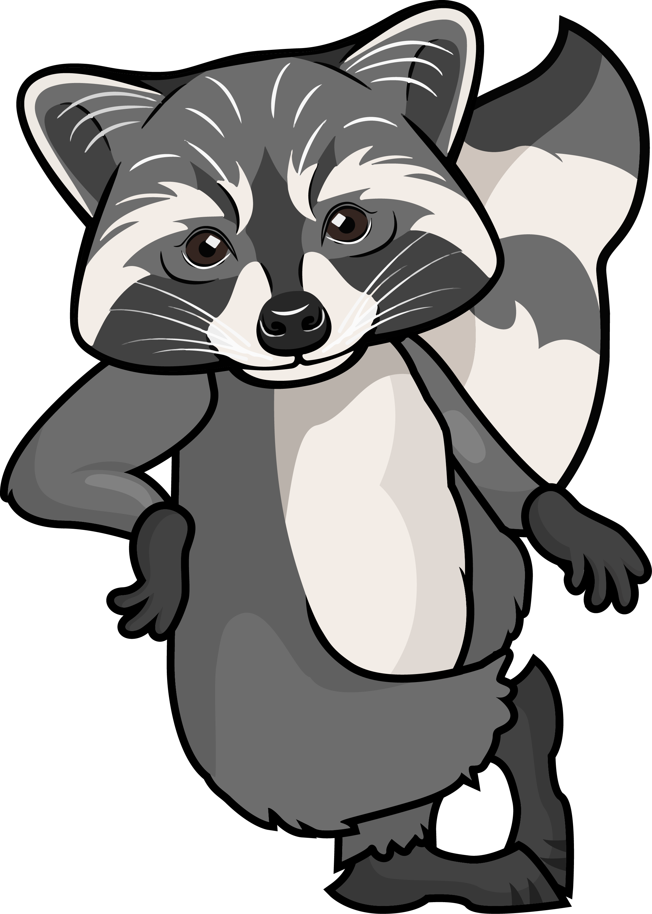 RaccoonWeb